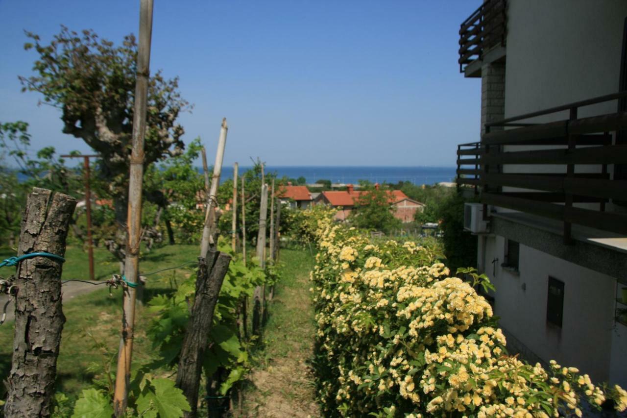 Apartma Tul * Izola