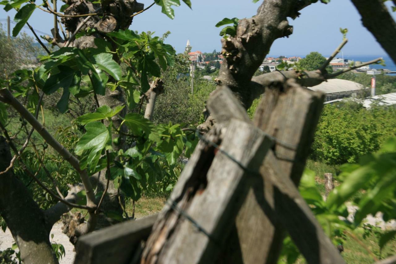 Apartma Tul Izola