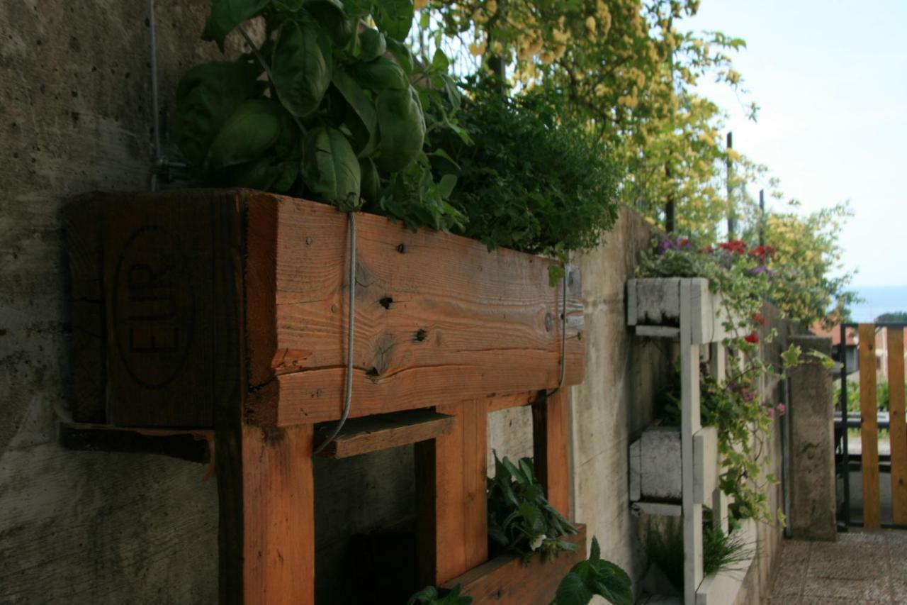 Apartma Tul